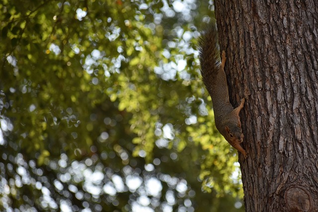 赵丽娜：女足输8球很多人破防，不知女足教练男的女的就开喷